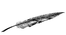 pen